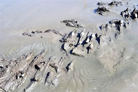 Odkryto Na Brazylijskiej Plaży Ponad 120 Letni Wrak Statku Historia