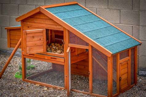Chickens have been rapidly growing in popularity as one of the most beloved homestead pets. Best Chicken Coops of 2020 Reviews