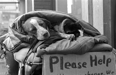 Homeless People And Their Dogs Show Their Love In Heartwarming Photos