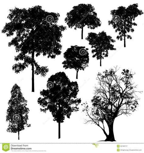 Tree Silhouette Vector Stock Vector Illustration Of Tall 32783117