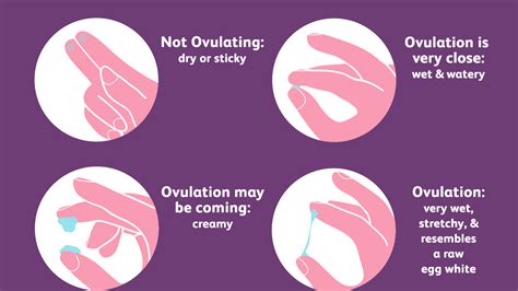 Women may experience very little to no vaginal discharge just after their monthly menstrual period. Pregnancy Different Types Of Discharge Pictures - When Should I Be Worried About Vaginal ...