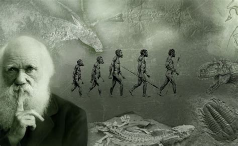 “la Teoría De La Evolución” De Charles Darwin Cumple 157 Años
