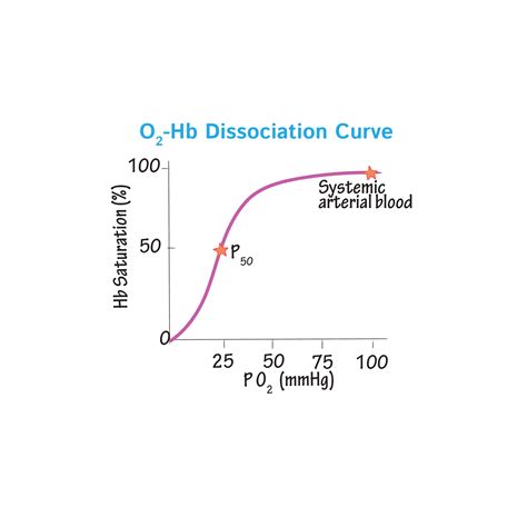 Christian bohr is the scientist who first explain this occurence from aerobic exercise. Subject: Oxygen-hemoglobin disassociation curve | Standard ...