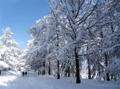 Mi Viaje A La Vida Día 197 ¿te Gusta La Nieve Teamlife