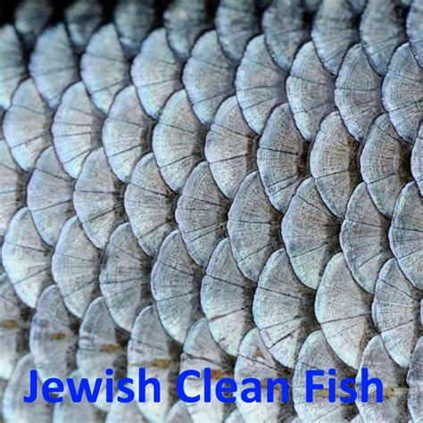Jewish List Of Clean Fish List
