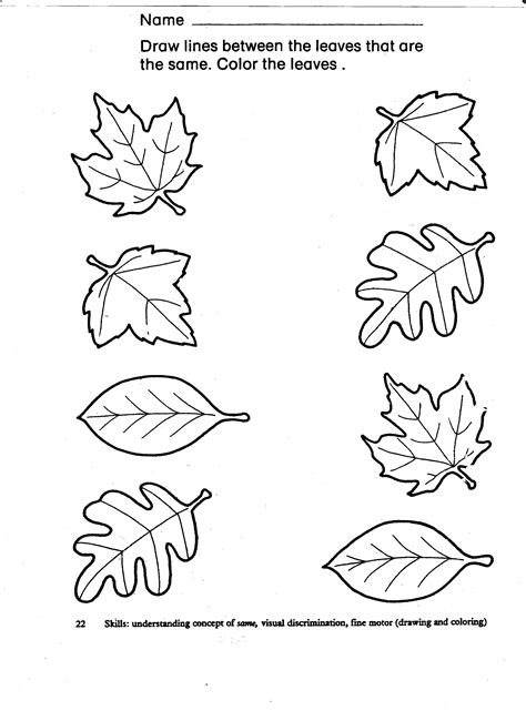 Autumn Worksheet For Kindergarten