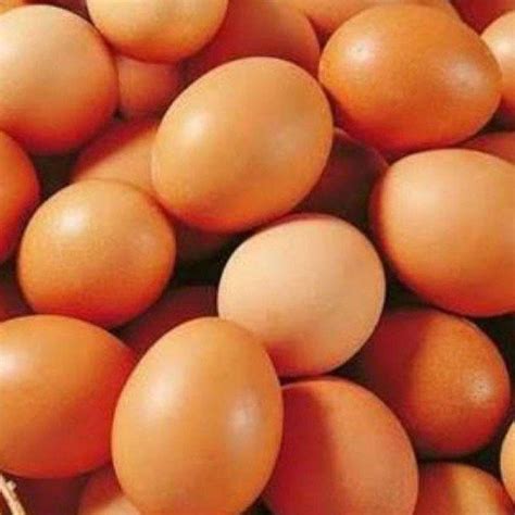 Jual Telur Ayam Negeri 1 Kg Halal Di Seller Minimarket Sarasa
