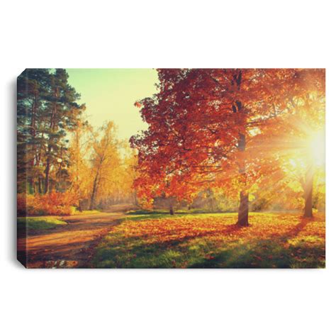 Get Here Autumn Canvas Autumn Trees And Leaves In Sun Light Canvas