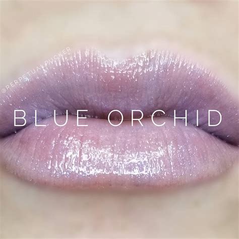 Lipsense Blue Orchid Gloss Limited Edition