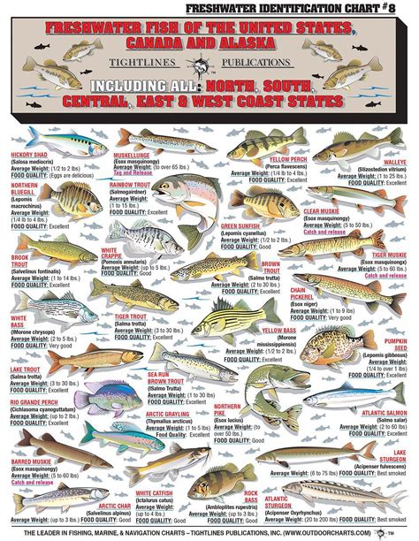 North Carolina Fish Identification Chart
