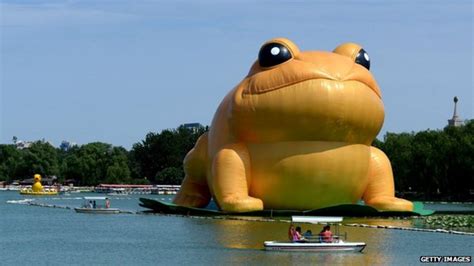 China Bans Inflatable Toad Reports Amid Mockery Fears Bbc News