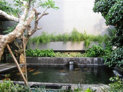 Jual Ikan Hias Koi di Bali: Tips | Cara Merawat Kolam Ikan Koi