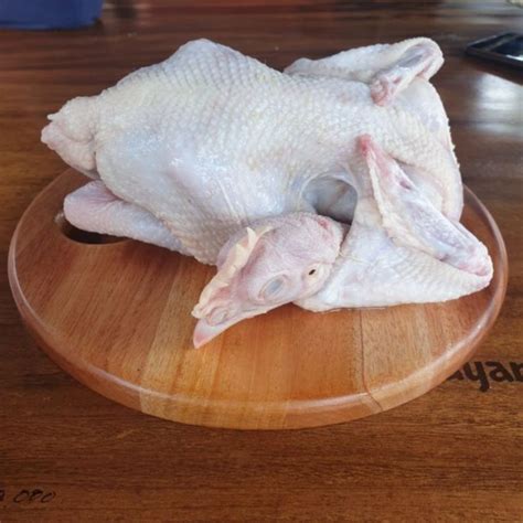 Maybe you would like to learn more about one of these? 6 Ciri Ayam Potong Segar dan Bedanya dengan Ayam Tiren ...