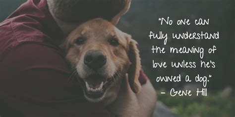 27 Quotes For The Dog Obsessed Laughtard