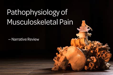 Pathophysiology Of Musculoskeletal Pain A Narrative Review