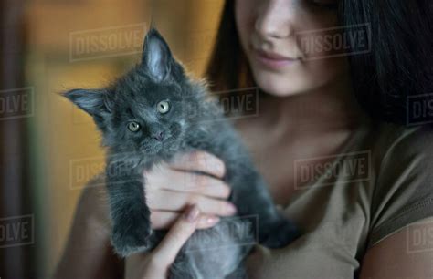 Caucasian Woman Holding Cat Stock Photo Dissolve