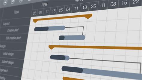 3 Must Haves When Creating A Project Timeline Peterman Design Firm