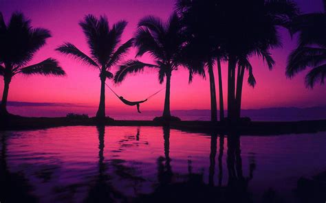 Pink Beach Sunset Hd Wallpapers Top Free Pink Beach Sunset Hd