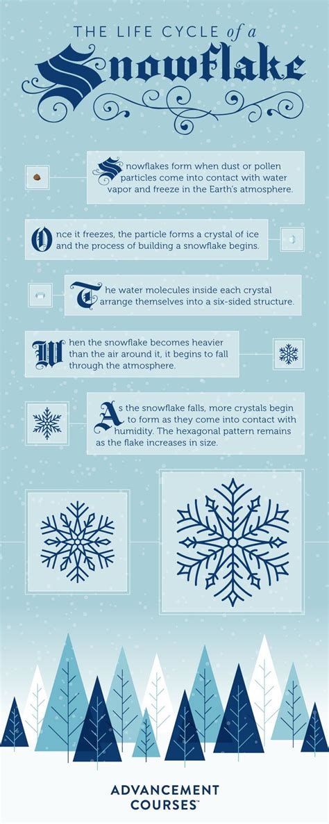 Lesson Plan Inspiration The Life Cycle Of A Snowflake Snowflakes