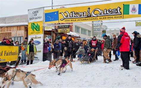 Boundary Sled Dog Kennel Races