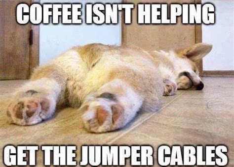 Pin By Sheila Donoghue On Coffee Funny Good Morning Memes Funny