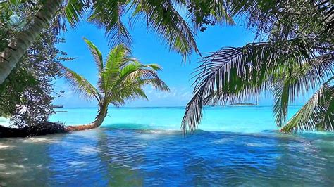 Video Ocean Ambience On A Tropical Island Maldives Download