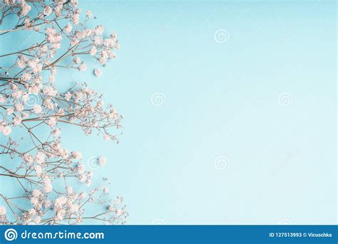 We did not find results for: Light Blue Floral Background With White Gypsophila Flowers ...