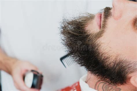 handsome bearded man in barbershop barber cuts hair with elect stock image image of lifestyle