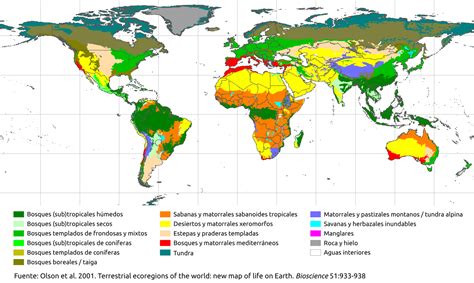 Mapa De Los Biomas Terrestres Biomas Bioma Terrestre Ecosistemas