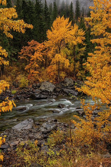 Wenatchee River Autumn Colors Photograph By Michael Gass