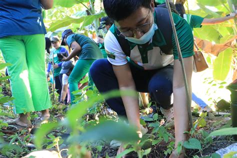 Nationwide Simultaneous Bamboo And Tree Planting Activity September 13