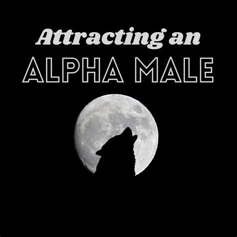 How To Attract An Alpha Male Pairedlife