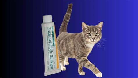 Is Triple Antibiotic Ointment Safe For Cats