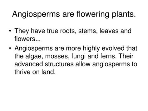 Ppt Angiosperms Powerpoint Presentation Free Download Id27614