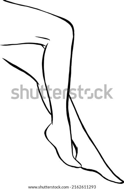 Beautiful Female Legs Contour Image Stock Vector Royalty Free