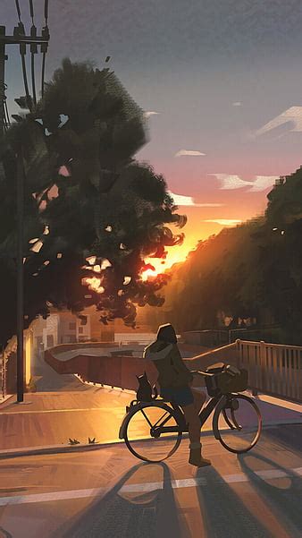 Hd Tree Anime Bikes Wallpapers Peakpx