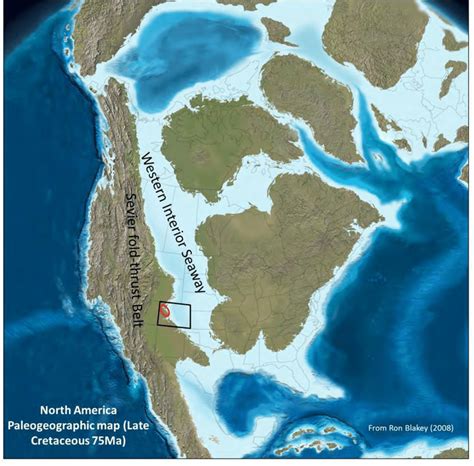 5 Paleogeographic Map During The Late Cretaceous 75ma Illustrating