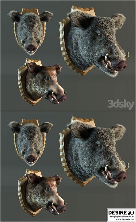Desire Fx 3d Models Stuffed Wild Boar 3d Model