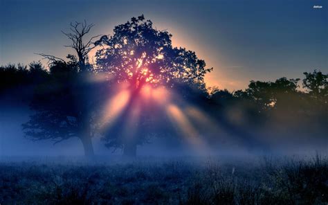 Misty Morning Wallpapers Wallpaper Cave