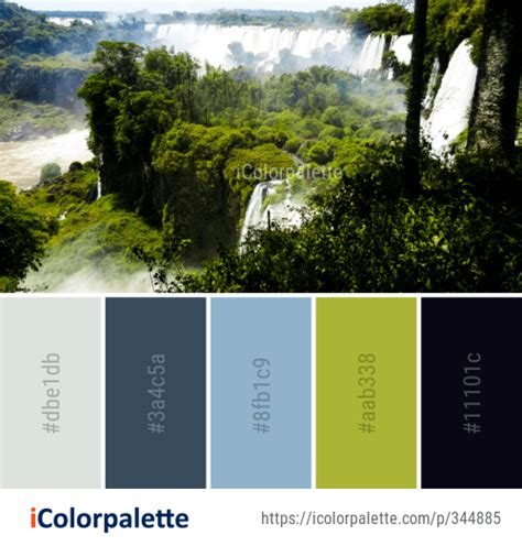 79 Rainforest Color Palette Ideas In 2020 Icolorpalette