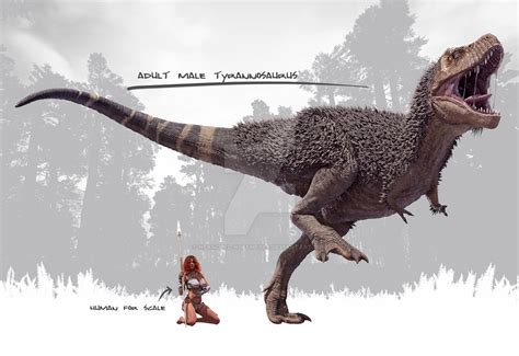 Male Tyrannosaurus Rex By Herschel Hoffmeyer On Deviantart