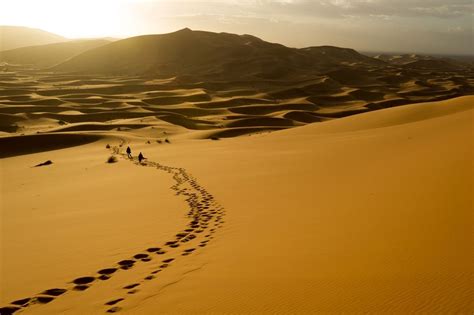 15 Awe Inspiring Photographs Of Dunes Artofit