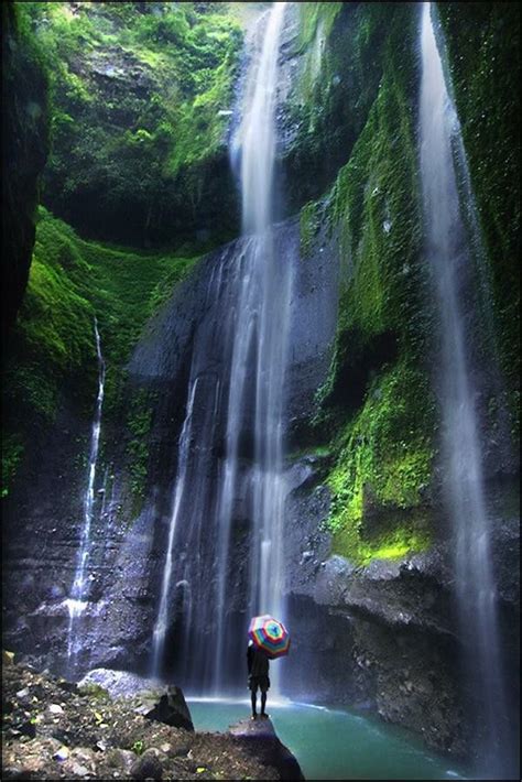 0.1 miles from pecel ayu. Waterfall Madakaripura on Probolinggo east java Indonesia | Madakaripura waterfall, Waterfall ...