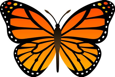 Monarch Butterfly Png Download Image Png All Png All
