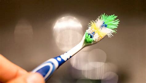 How Often Should I Replace My Toothbrush Thomasville Dental Center