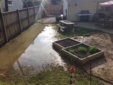 How to choose a security system. How do I prevent my garden from flooding?