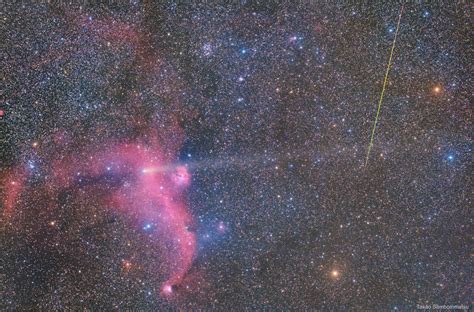 Astronomy Daily Picture For October 21 Meteor Comet And Seagull