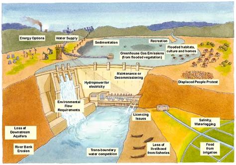 Environmental Impacts Of Dams The Constructor