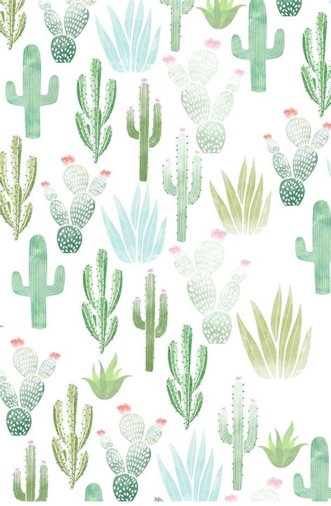 Cactus Print Wallpapers Top Những Hình Ảnh Đẹp