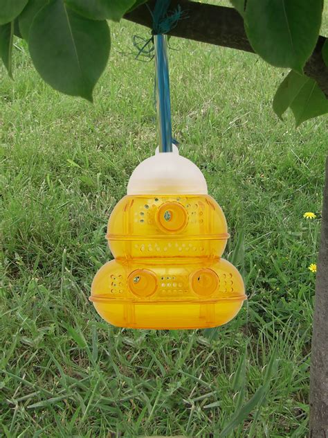 Yellow Jacket And Wasp Trap Hornet Trap Wasp Traps Garden Yard Ideas